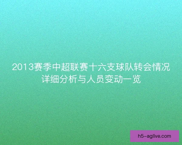 2013赛季中超联赛十六支球队转会情况详细分析与人员变动一览 2013赛季中超联赛十六支球队转会情况详细分析与人员变动一览